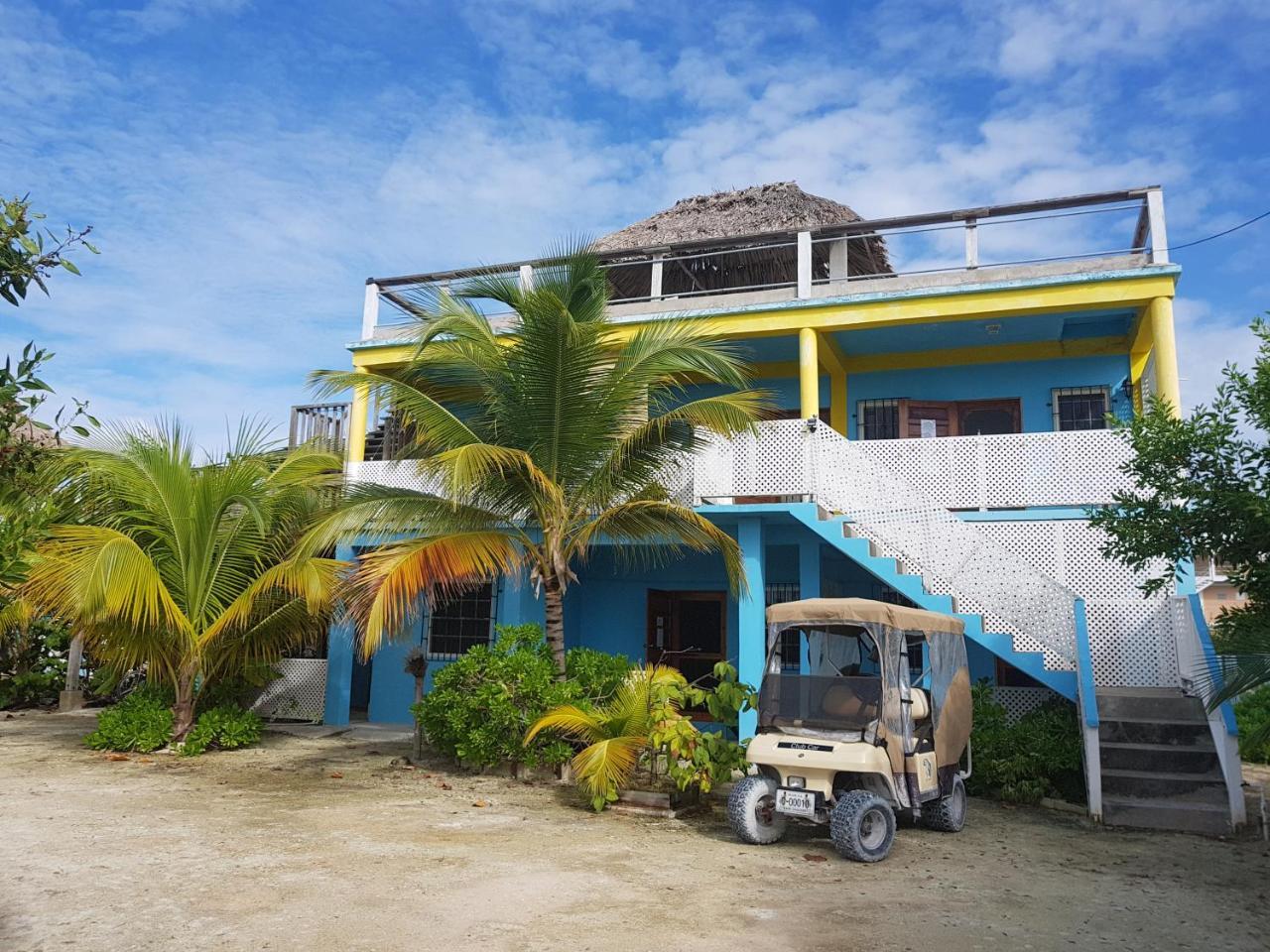 Trellis House Lägenhet Caye Caulker Exteriör bild