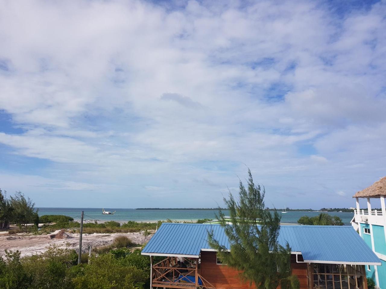 Trellis House Lägenhet Caye Caulker Exteriör bild