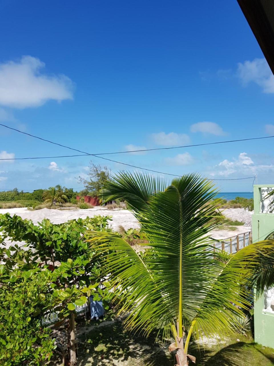 Trellis House Lägenhet Caye Caulker Exteriör bild